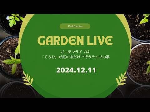 クリスマスアニメーション