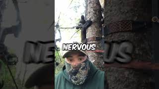 Bears Climb Hunter's Tree Stand