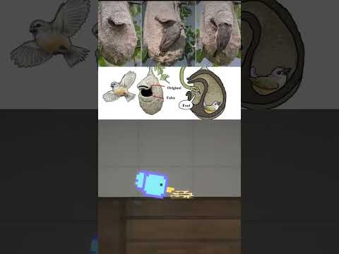 Snake after seeing this💀 | Melon Sandbox