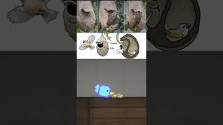 Download lagu Snake after seeing thisπ | Melon Sandbox mp3 Download lagu Snake after seeing thisπ | Melon Sandbox mp3