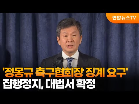 '정몽규 축구협회장 징계 요구' 집행정지, 대법서 확정