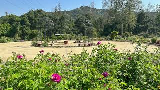 Meditación caminando por el laberinto