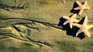 Adriana Calcanhotto - Vambora (com letra / with lyrics)