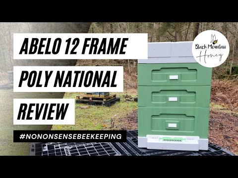 Abelo 12 Frame Poly Hive Review – Is a Polystyrene Beehive Worth It?