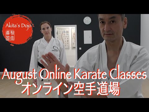 Akita's Dojo Online Karate Classes   HD 1080p
