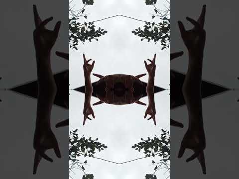 Bate vântul 😬🍂