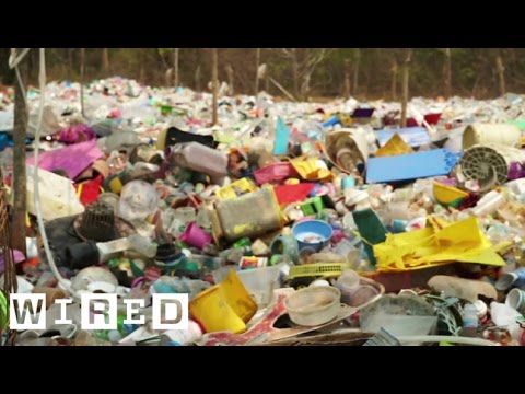 App Pack | These Apps Will Make You a Better Human (Environmentally Speaking)