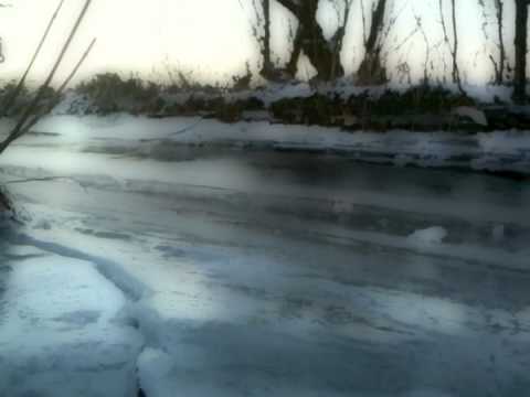 Wasser - das Elixir des Lebens