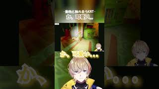 動物と触れ合うKNT#風楽奏斗 #にじさんじ #切り抜き