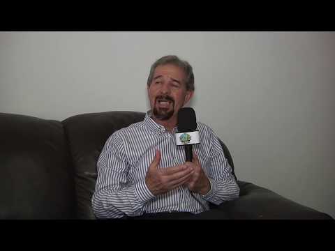 Ouro Fino Boletim da Semana 478 - 08 de junho de 2020