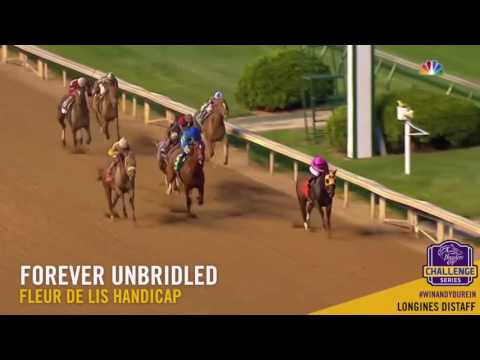 The Personal Ensign 2017 (the field)