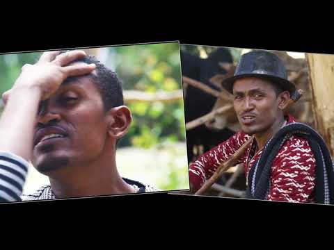 Siifan Urgeessaa - Haccekoo - Ethiopian Oromo Music 2020 [Official Audio]