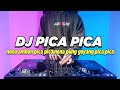 DJ PICA PICA NONA AMBON PICA PICA NONA PUNG GOYANG PICA PICA REMIX VIRAL TIKTOK FULL BASS