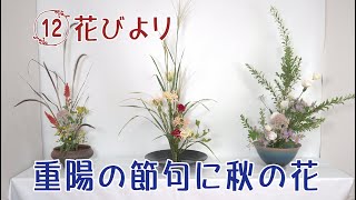 花びより 12 #重陽の節句に秋の花