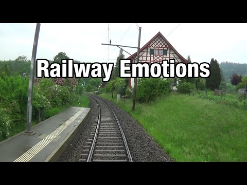 🚆 Im Regionalzug durch den Regen (Führerstandsmitfahrt | Thurbo S3 / S5 St. Margrethen - Weinfelden)