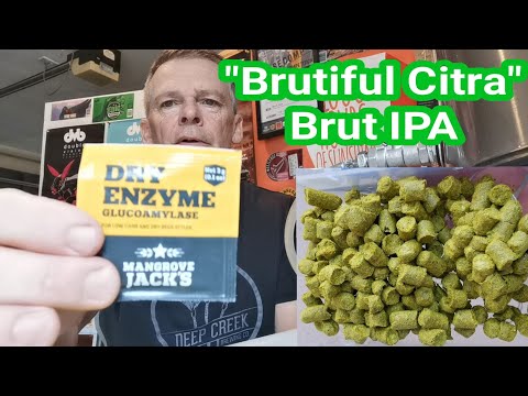 Brutiful Citra - Brut IPA - Brew Day + Recipe