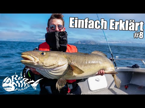 DORSCHANGELN in NORWEGEN // Alles was DU wissen musst - EE #8