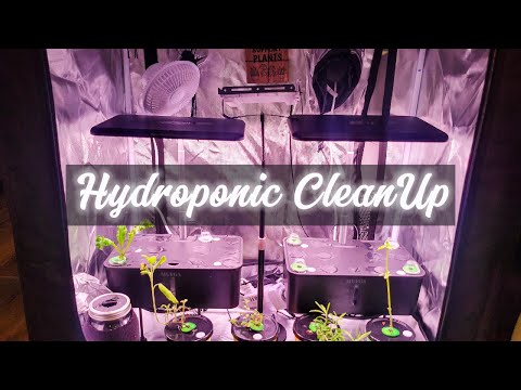 Hydroponic Cleanup (Mufga System)