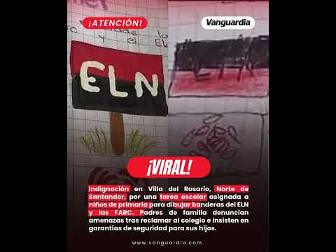 Indignación en Norte de Santander por tarea de primaria con banderas de grupos armados