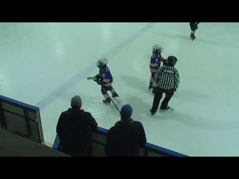 -08 E2 AA Salon Kiekkohait - Raision Yellow Knight 2019.4.27