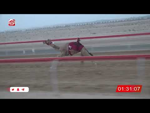  ش 2 (الجارح) لـ عوض عامر بن عدان الصيعري 2:51 ، شارة الصندوق 2026/08/24 فطامين سويحان
