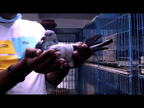 Raha With Yousuf Kader Loft