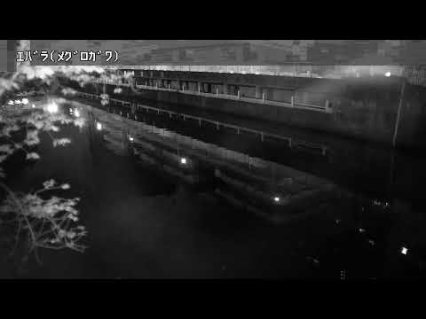 Meguro River At Ebara Reservoir live stream preview image
