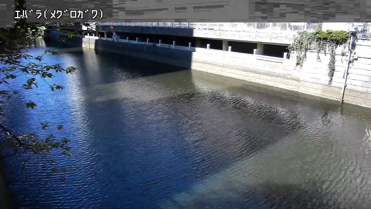 Meguro River At Ebara Reservoir