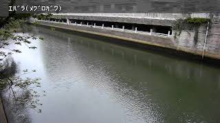 荏原映像監視局
