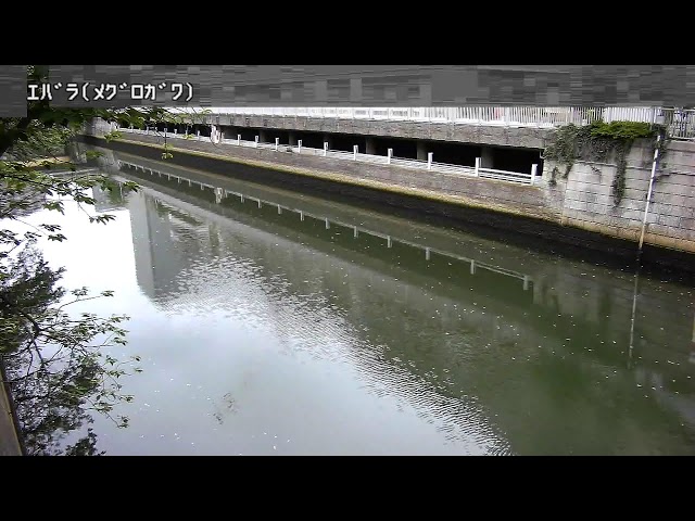 荏原映像監視局