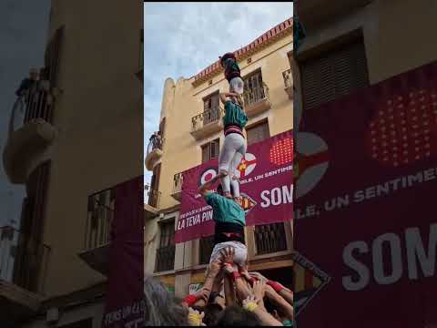 video-cover
