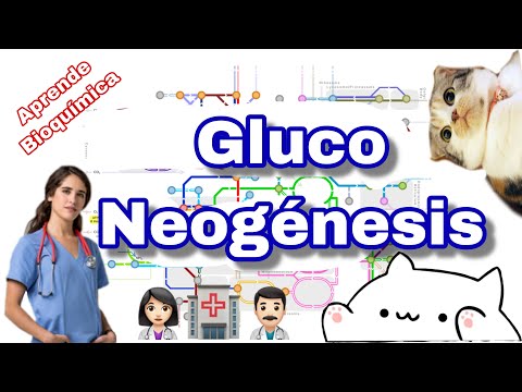 Gluconeogénesis: UN RESUMEN
