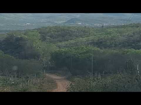 Santa Brigida Bahia!