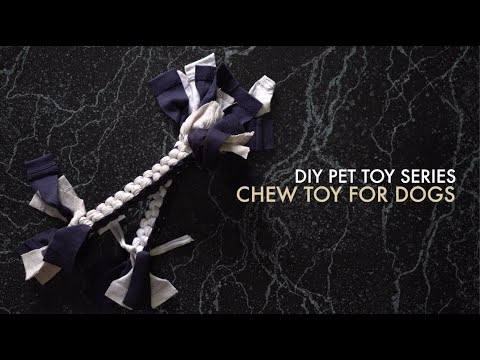 Chew Toy For Dogs | DIY Pet Toy Series