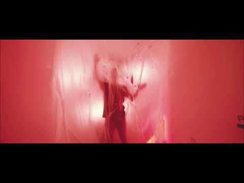 Through the Disaster - Through the Disaster - Pneumothorax (Official Music Video)