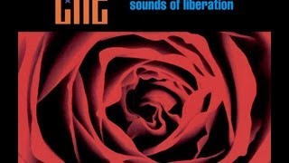 Ché - Sounds of Liberation ⌇ Full album ☆ 2000 ⌇ HD