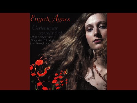 Nyisd ki, rózsám az ajtót (Bonchida)