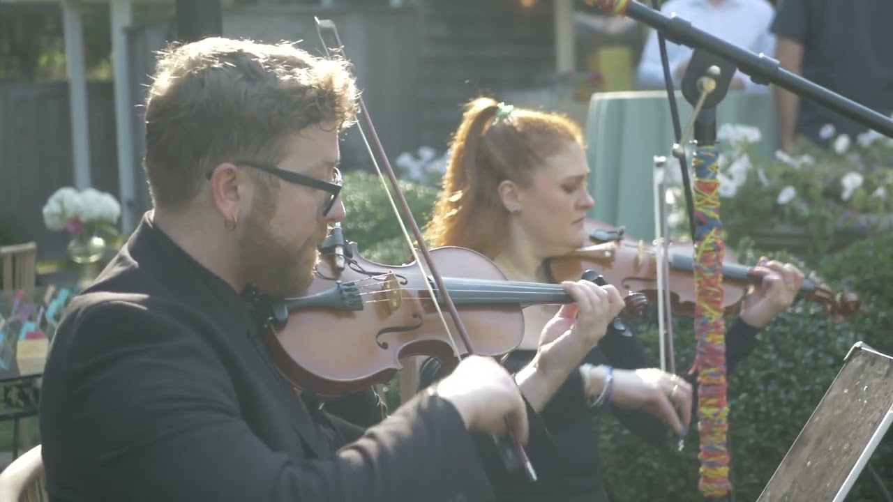 Promotional video thumbnail 5 for Impulse Strings