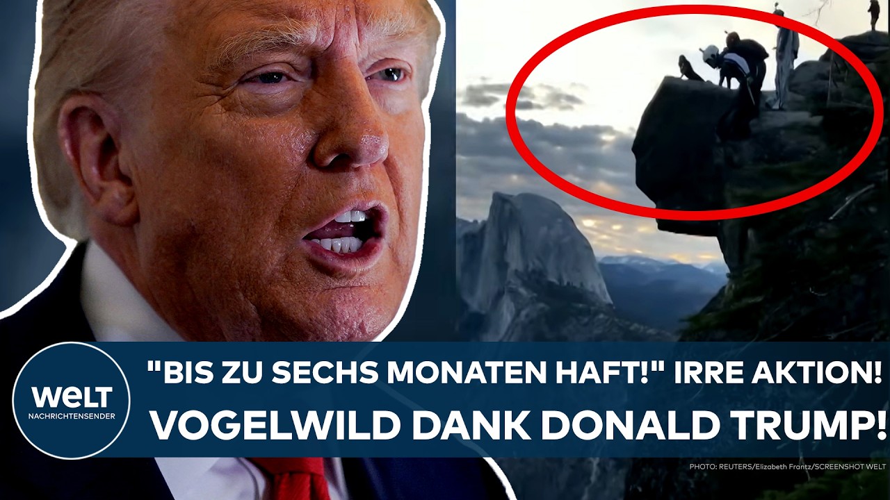 USA: "Bis zu sechs Monaten Haft!" Vogelwild dank Donald Trump! Diese Aktion ist streng verboten!