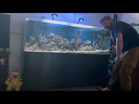 180g Saltwater Tank Setup Overview