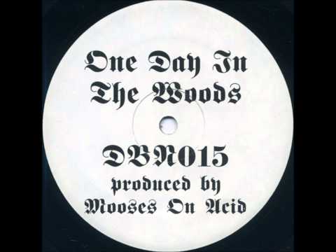 Mooses On Acid - Wicked Acid