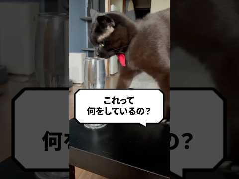 嵐の前後にプールを維持する方法 嵐の場合はプールを覆ったほうがよいでしょうか