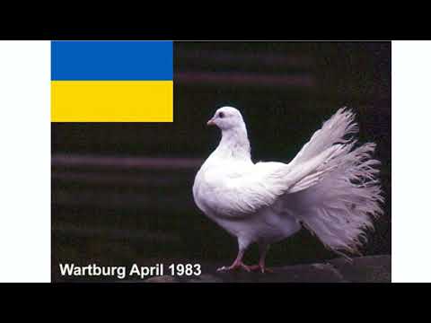 Halleluja (orthodoxe Liturgie aus Kiew)