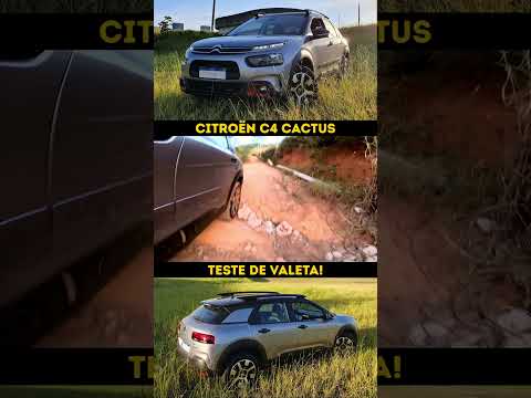 C4 Cactus vai bem na estrada de terra?