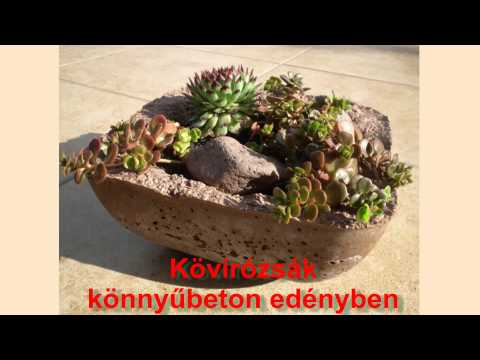 Kövirózsa Dekor videó