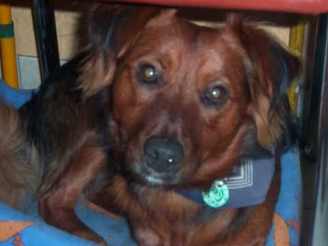 notre bébé clochard 0001