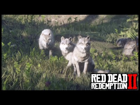 Red Dead Redemption 2 #73 Perfekte Felle [Deutsch|German] [Let's Play]
