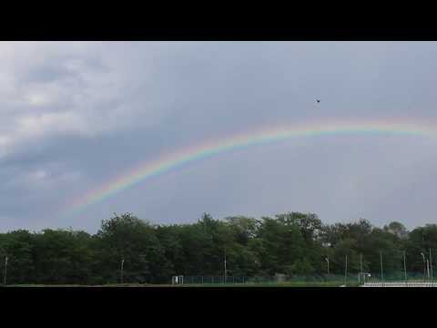 Universitatea Craiova  U-19 - CS Mioveni R2