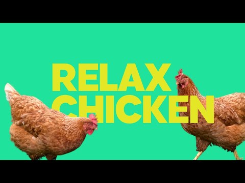 Hühner am Bach | Entspannungsvideo | Landidylle | 4K 60Fps