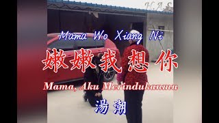 Download lagu Mama Wo Xiang Ni 妈妈我想你 [Mama Aku Merindukanmu] mp3